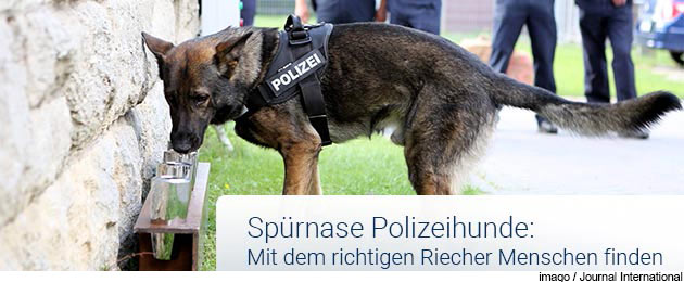  : Aus dem Leben eines Polizeihundes